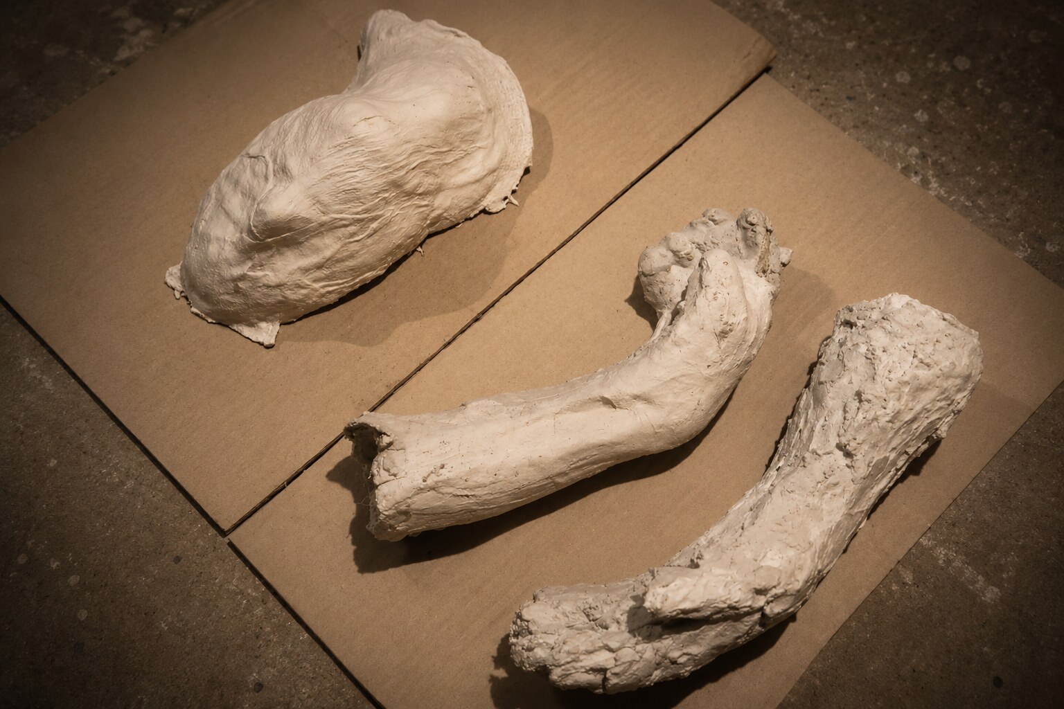Trei mulaje din ghips — un torso, un braț cu mână și un antebraț — depuse pe carton în atelier, documentare de proces pentru Metha-Lan — Adrian Dică, 2014