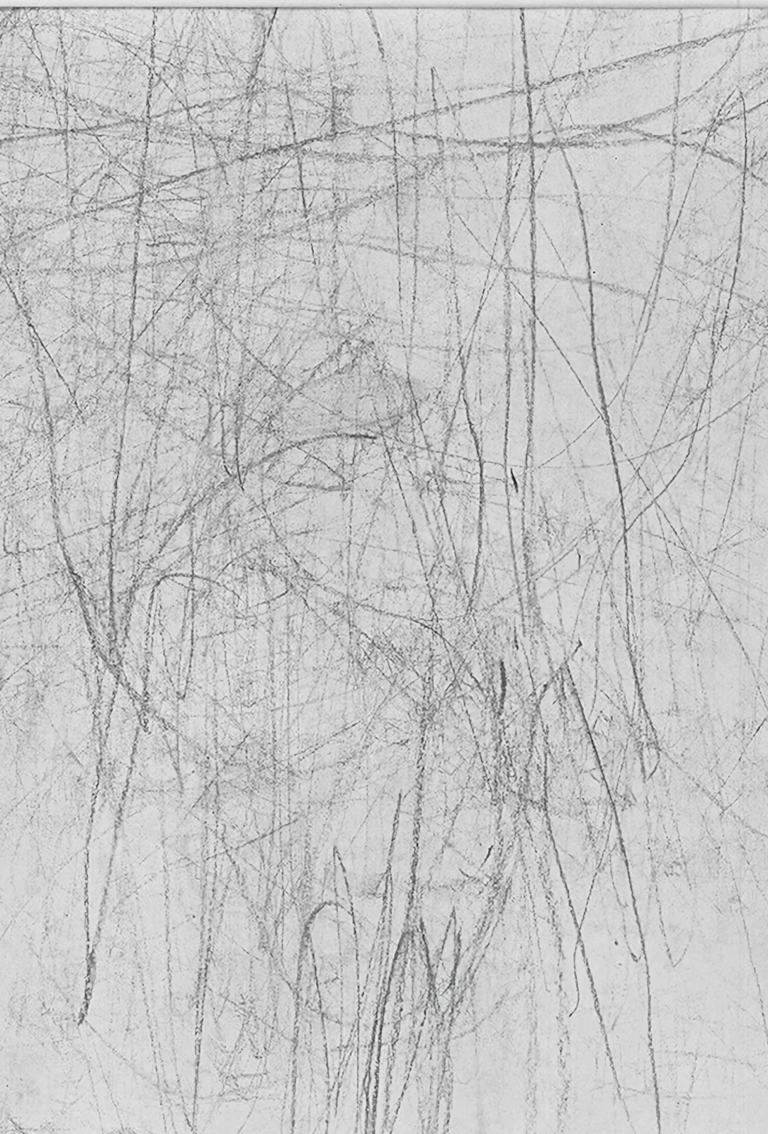 Desen II — Adrian Dică, charcoal on paper
